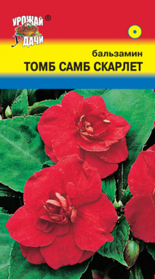 цБальзамин Том Самб скарлет 0,2г