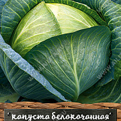 Капуста бк Авак 0,1г