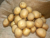Картофель Ривьера Э (1 кг)