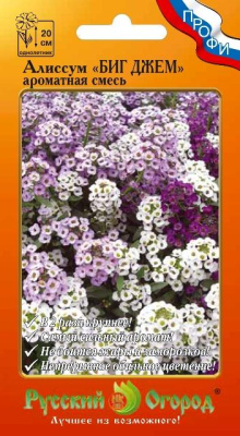 Алиссум Биг Джем ароматная смесь 50шт