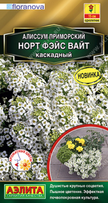 Алиссум Норт фэйс вайт каскадный 10шт