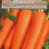 Морковь Бессердцевинная Королева 2г
