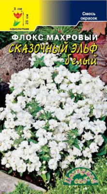 цФлокс Сказочный эльф белый 5шт