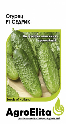 Огурец Седрик 5шт (Энза Заден)