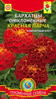 цБархатцы Красная парча 45шт