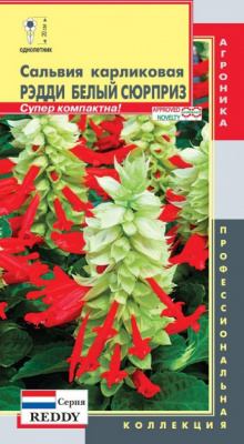 цСальвия Рэдди Белый сюрприз(карликовая) 10шт