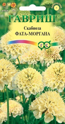 цСкабиоза Фата-моргана 6шт