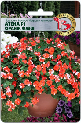 Бальзамин Валлера Атена Оранж Флеш 8шт