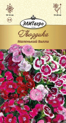 цГвоздика турецкая Маленький Вилли низк.
