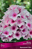 Флокс Бриллиант Айз (1 шт)