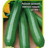 Кабачок Аделия 5шт (Энза Заден)
