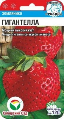 Земляника Гигантелла 10шт