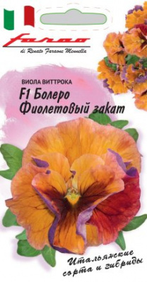 цВиола Болеро Фиолетовый закат 10шт