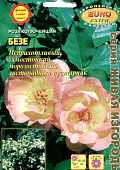 цРоза Безе 0,2г