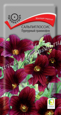 Сальпиглоссис Пурпурный граммофон 0,01г