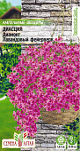 цДиасция Диамонт Лавандовый фейерверк амп. 5шт