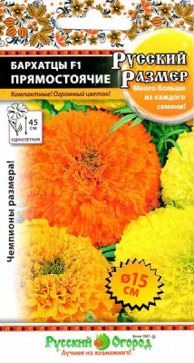 Бархатцы Русский размер прям, смесь 7шт