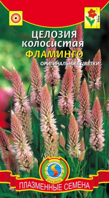 цЦелозия Фламинго колосистая