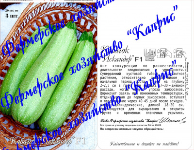 Кабачок Искандер (20пак*3шт) Нидерланды