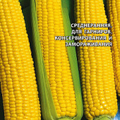 Кукуруза Золотой Лед 5г серия Заморозь!