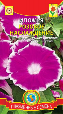 цИпомея Розовое наслаждение
