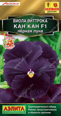 цВиола Кан-кан черная луна 7шт