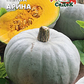 Тыква Арина 2г