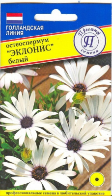цОстеоспермум Эклонис белый 0,05г