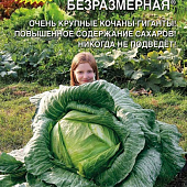 Капуста бк Безразмерная 0,3г