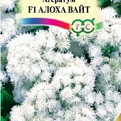 Агератум Алоха Вайт 10шт Элитная клумба
