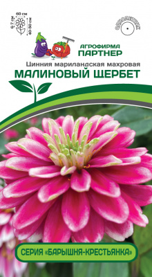 Цинния Малиновый щербет (Барышня-крестьянка) 5шт