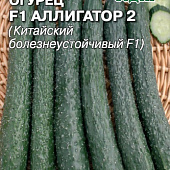 Огурец Аллигатор-2  0,2г
