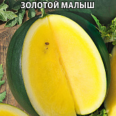 Арбуз Золотой малыш 10шт