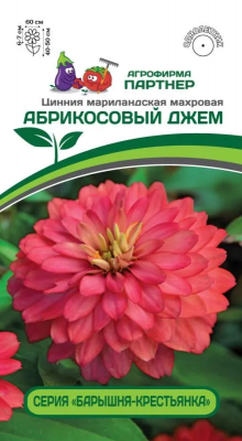 Цинния Абрикосовый джем (Барышня-крестьянка) 4шт