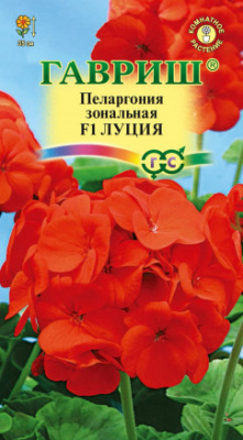 Пеларгония Луция 4шт