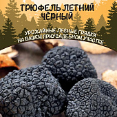 Грибы Трюфель Летний Черный 15г/30мл