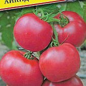 Томат Айкидо 5шт (Англия)