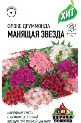 Флокс Манящая звезда друмм. 0,05г металл