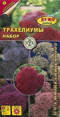 цТрахелиумы набор 5шт
