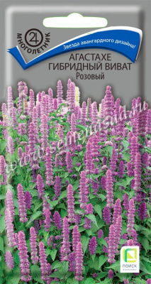 цАгастахе Виват розовый 10шт