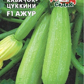 Кабачок Ажур 1г