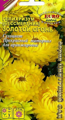 цГелихризум Золотой огонь (бессмертник)