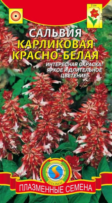 цСальвия Красно-белая карликовая 0,05г