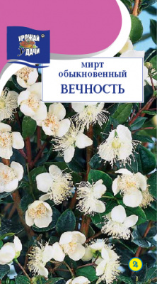 цМирт Вечность