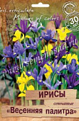 Ирис Весенняя палитра смесь (30 шт)