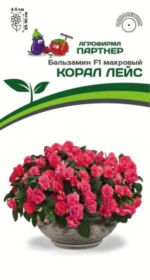 Бальзамин Корал лейс 5шт