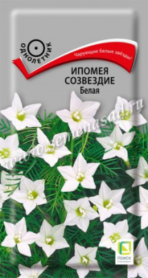 цИпомея Созвездие Белая 0,3гр