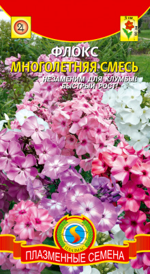 цФлокс Многолетняя смесь 5шт