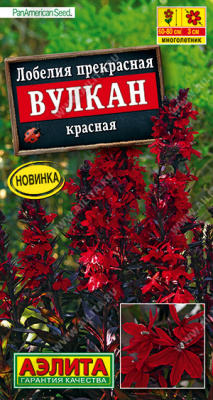 Лобелия Вулкан красная многолет. 5шт
