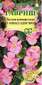 цБегония Амбассадор Пинк 4шт.